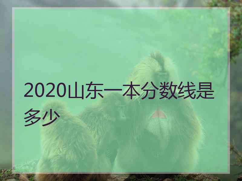 2020山东一本分数线是多少