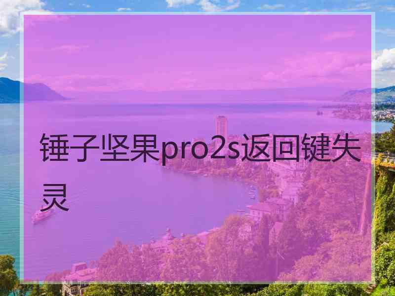 锤子坚果pro2s返回键失灵