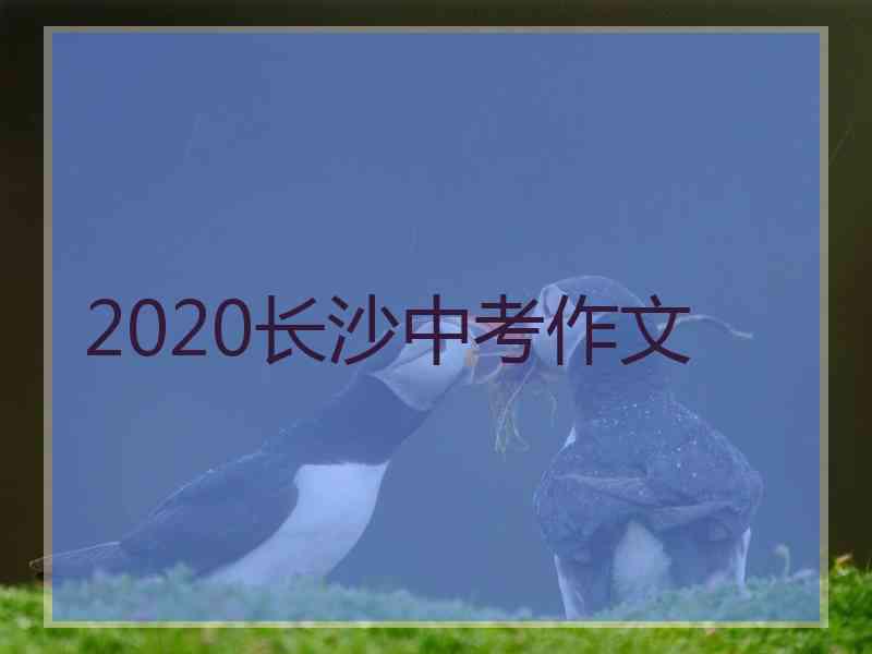 2020长沙中考作文