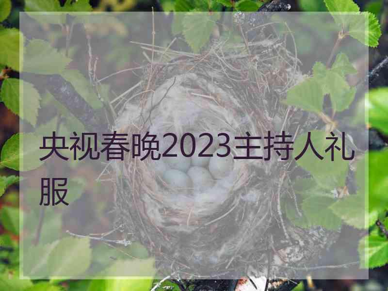 央视春晚2023主持人礼服