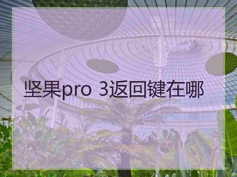 坚果pro 3返回键在哪