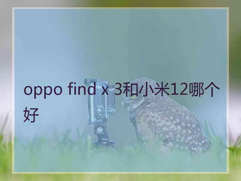 oppo find x 3和小米12哪个好