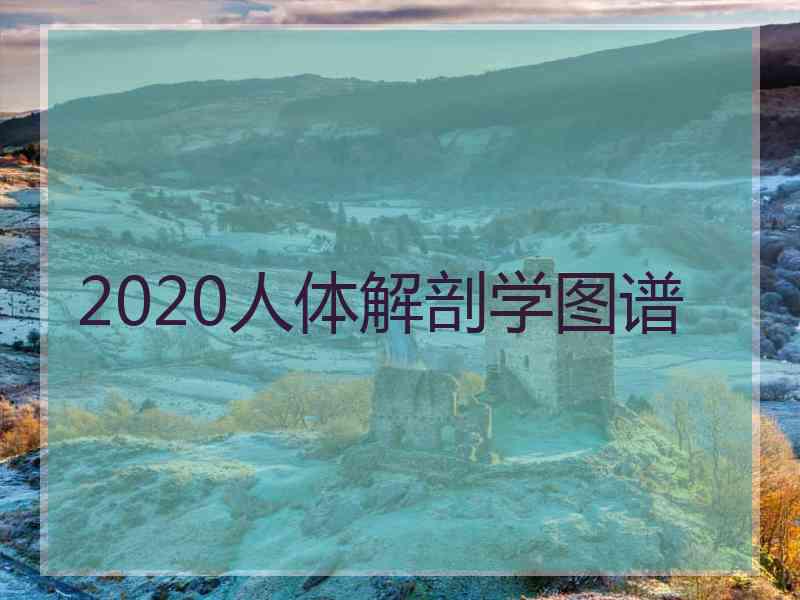 2020人体解剖学图谱