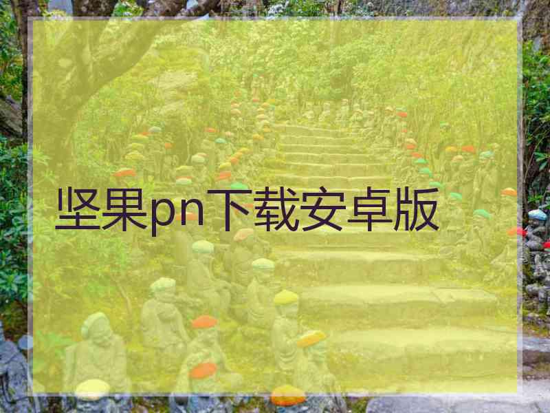 坚果pn下载安卓版