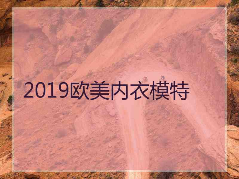 2019欧美内衣模特