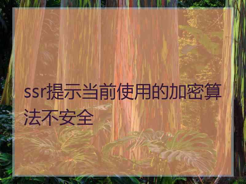 ssr提示当前使用的加密算法不安全