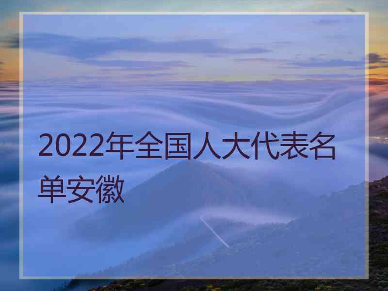 2022年全国人大代表名单安徽