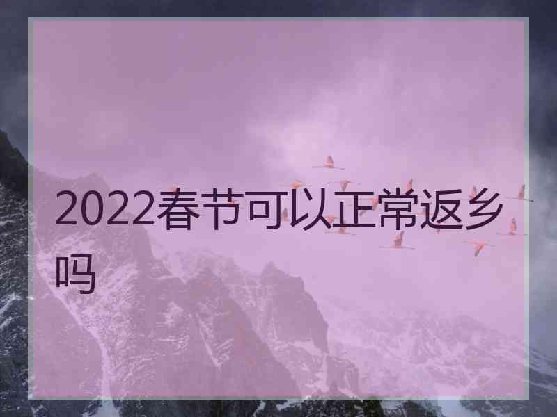 2022春节可以正常返乡吗