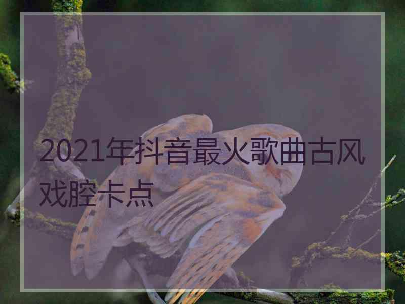 2021年抖音最火歌曲古风戏腔卡点