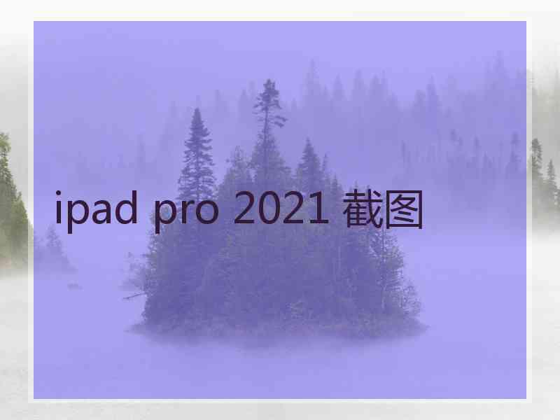 ipad pro 2021 截图