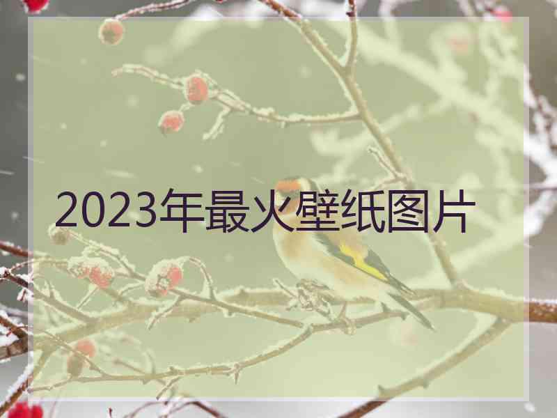 2023年最火壁纸图片