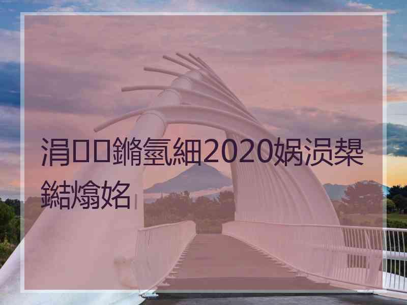 涓鏅氫細2020娲涢槼鐑熻姳