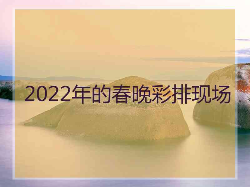 2022年的春晚彩排现场