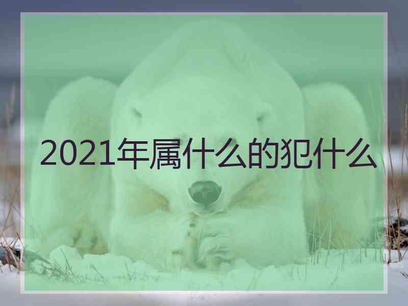 2021年属什么的犯什么