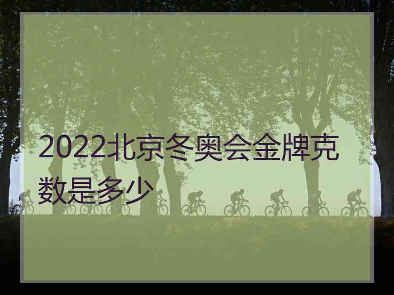 2022北京冬奥会金牌克数是多少