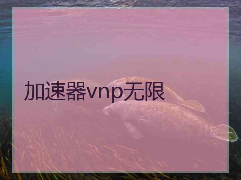 加速器vnp无限