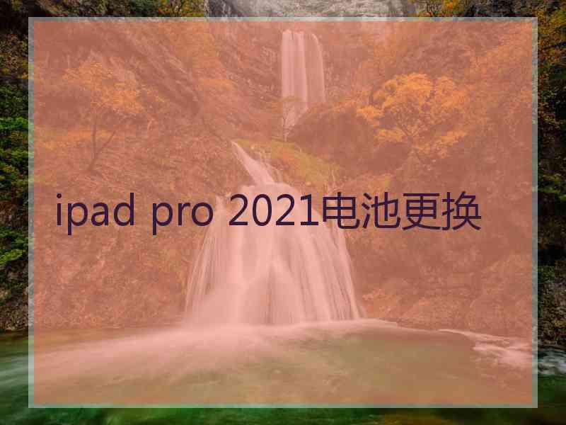 ipad pro 2021电池更换