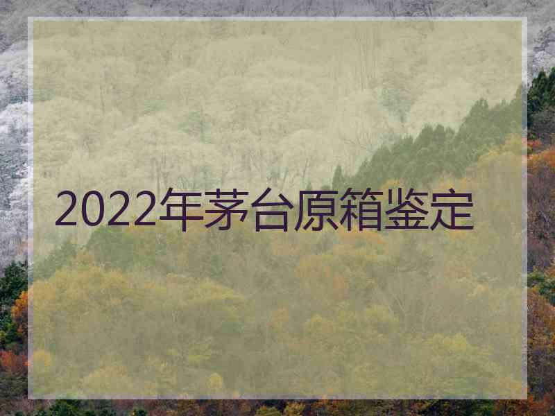 2022年茅台原箱鉴定