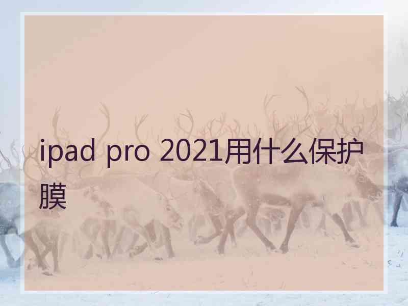 ipad pro 2021用什么保护膜