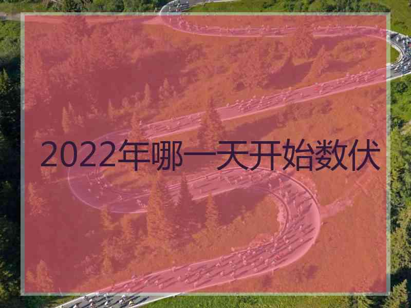 2022年哪一天开始数伏