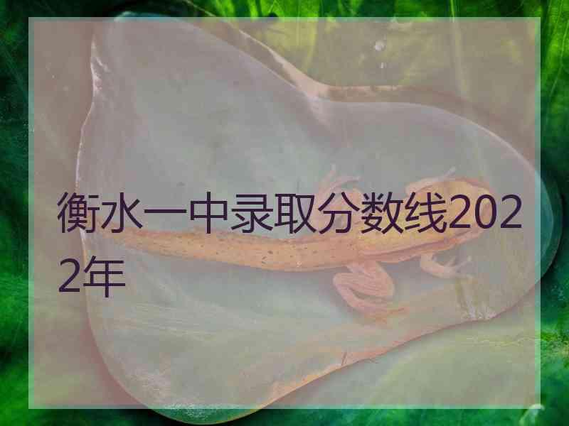 衡水一中录取分数线2022年