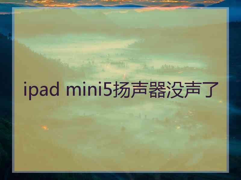 ipad mini5扬声器没声了