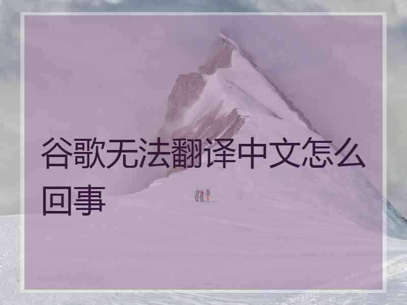 谷歌无法翻译中文怎么回事