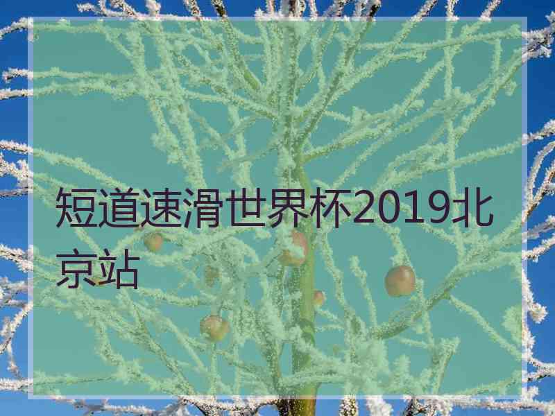 短道速滑世界杯2019北京站