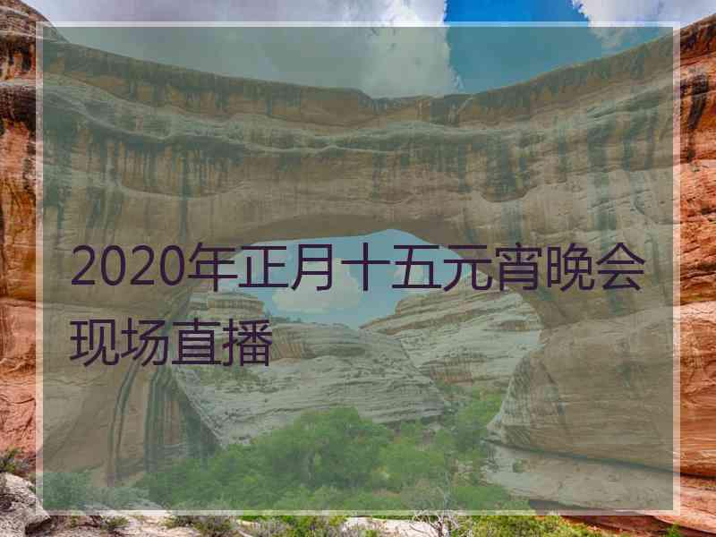 2020年正月十五元宵晚会现场直播