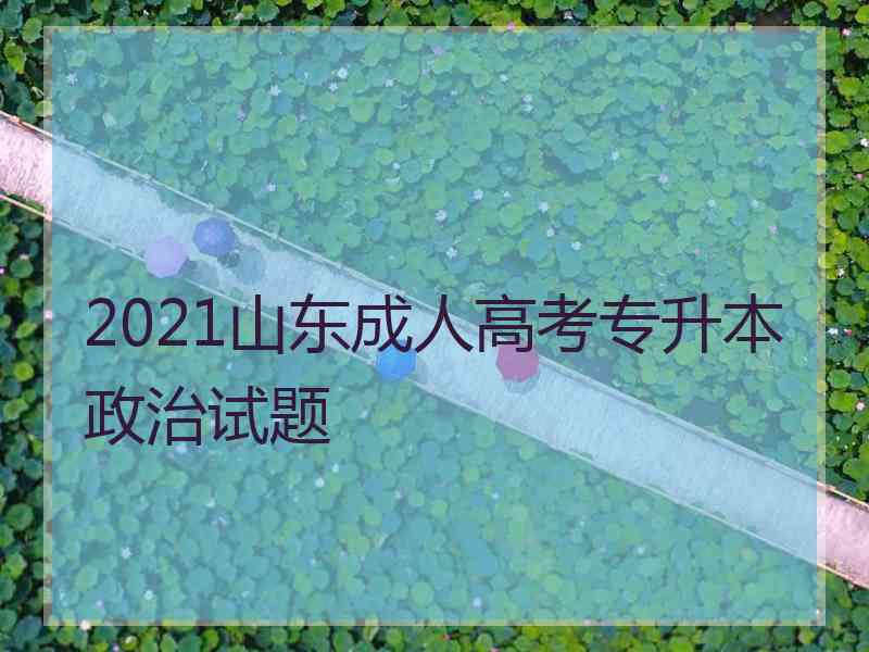 2021山东成人高考专升本政治试题