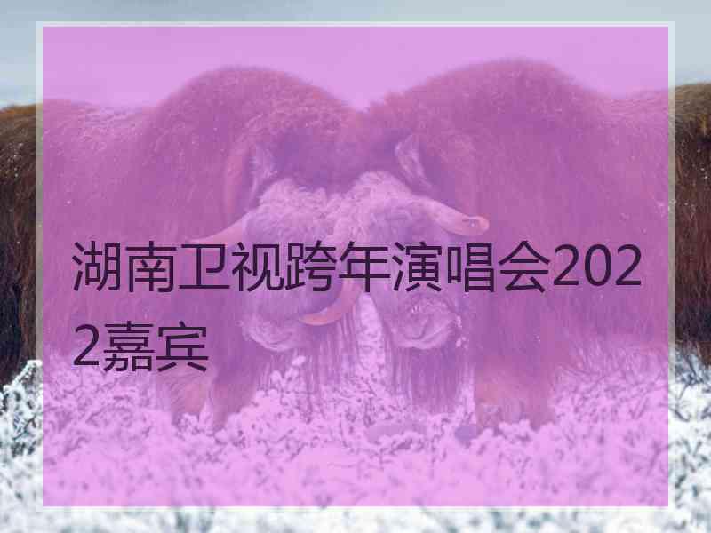 湖南卫视跨年演唱会2022嘉宾