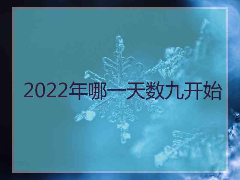 2022年哪一天数九开始