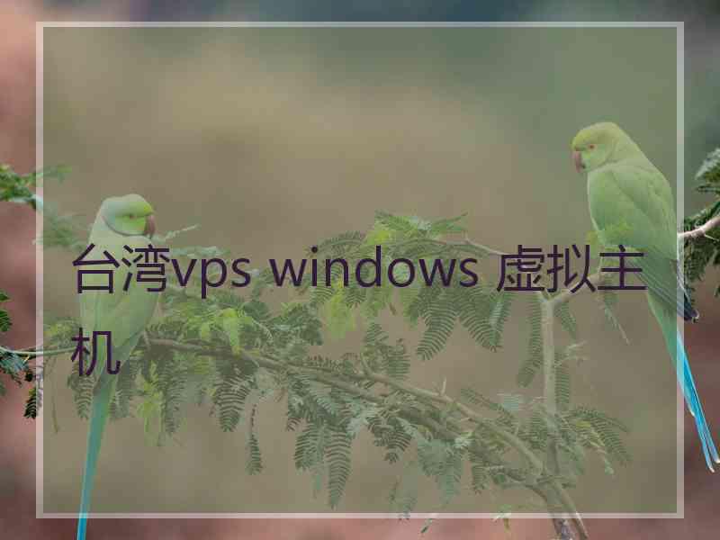 台湾vps windows 虚拟主机