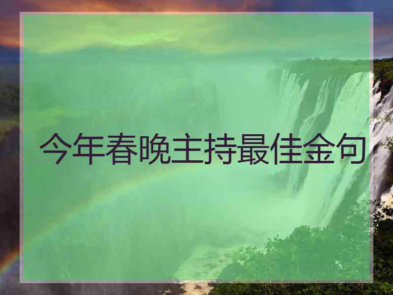 今年春晚主持最佳金句