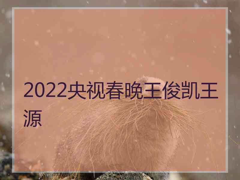 2022央视春晚王俊凯王源