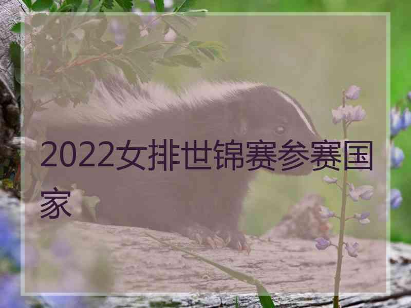 2022女排世锦赛参赛国家