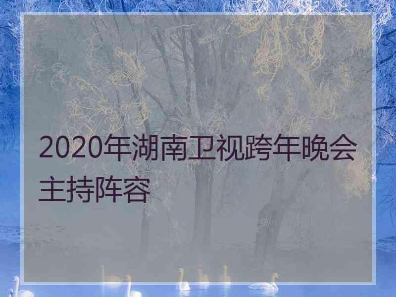 2020年湖南卫视跨年晚会主持阵容