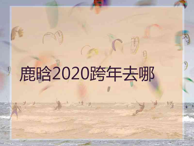 鹿晗2020跨年去哪