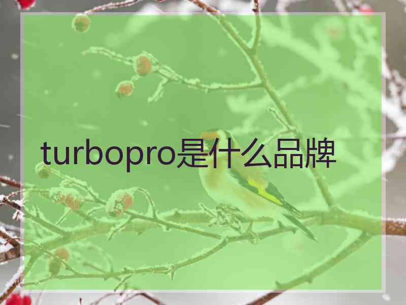 turbopro是什么品牌