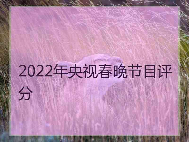 2022年央视春晚节目评分