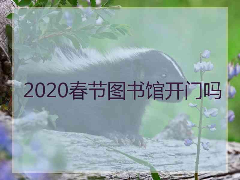 2020春节图书馆开门吗