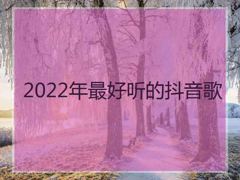 2022年最好听的抖音歌