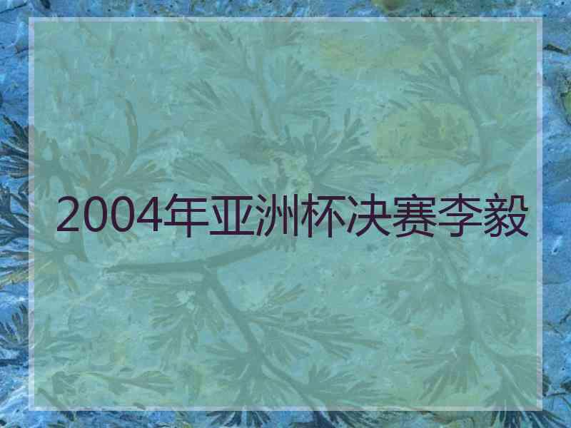 2004年亚洲杯决赛李毅