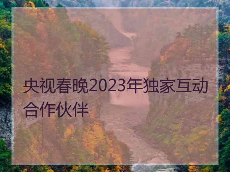 央视春晚2023年独家互动合作伙伴