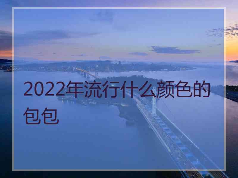 2022年流行什么颜色的包包