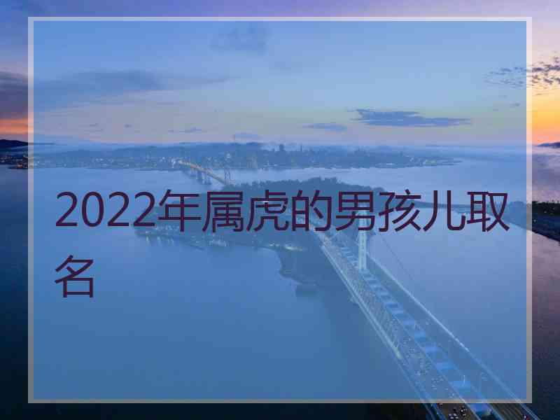 2022年属虎的男孩儿取名