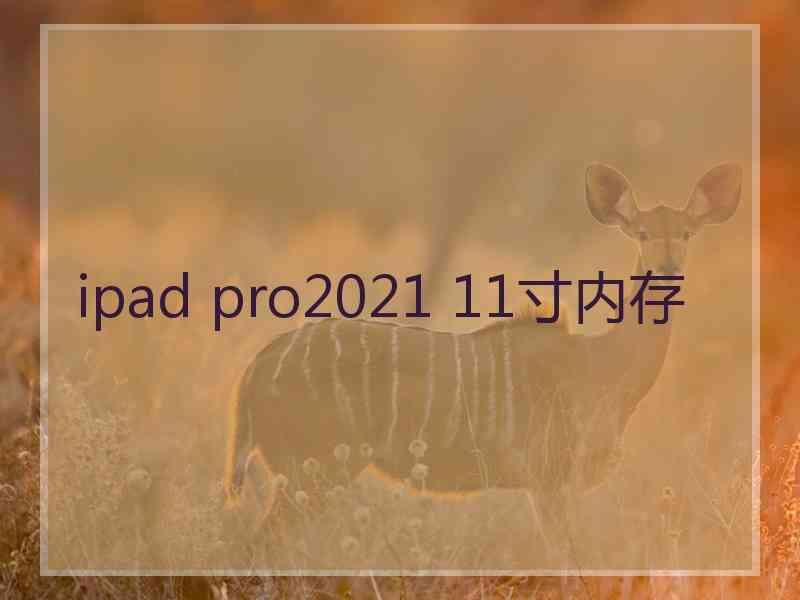 ipad pro2021 11寸内存