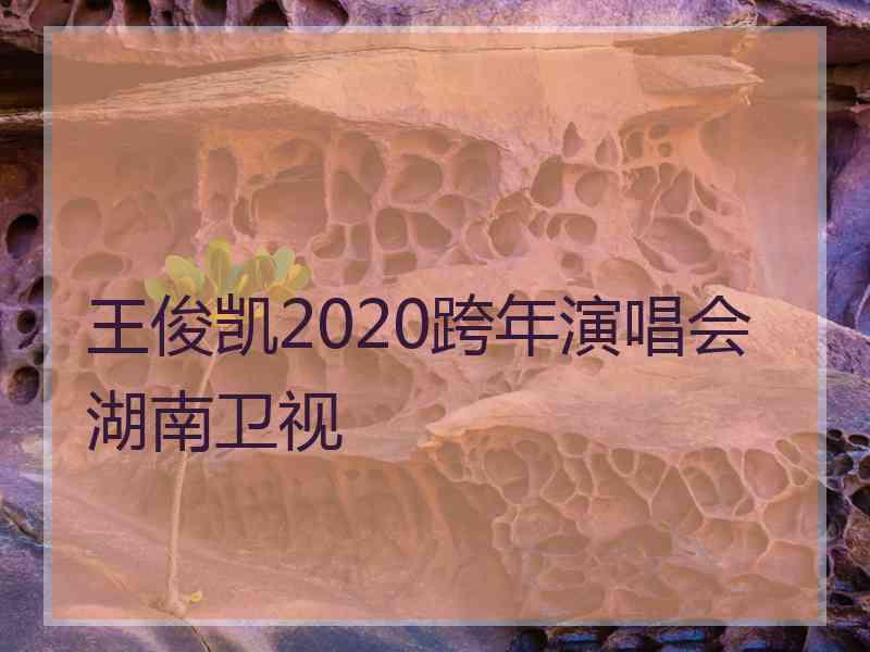 王俊凯2020跨年演唱会湖南卫视