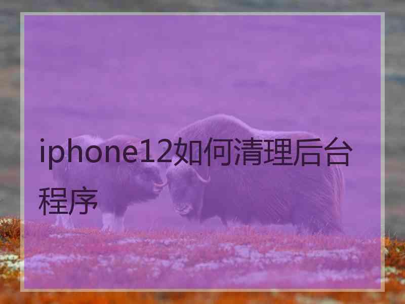 iphone12如何清理后台程序