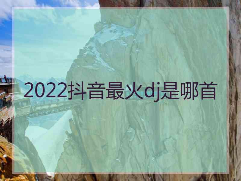 2022抖音最火dj是哪首